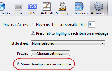 'Enabling' the Developer menu